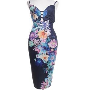 Ginger Fizz Plunge Body-Conscious Dress With Placement Floral Print (UK 12)